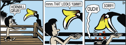 Cartoon: Hornbill grub (medium) by sinann tagged hornbill,grub,feeding,food