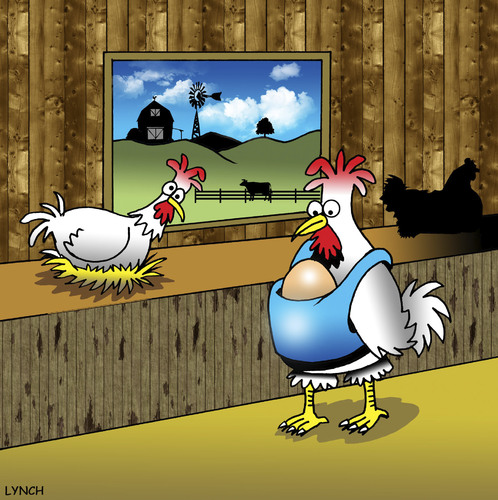 Cartoon: baby Bjorn (medium) by toons tagged motherhood,babies,chickens,eggs,farming,farms,baby,bjorn,prams,pre,natal,pregnant,chicks,seat