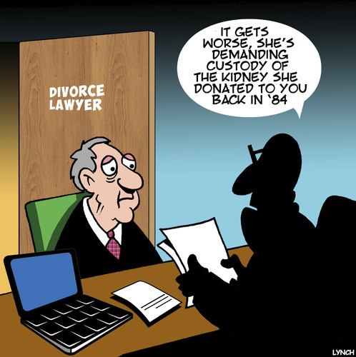 Divorce lawyer