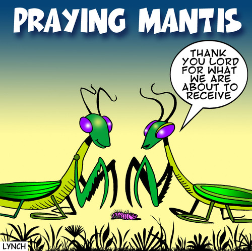 cartoon praymantis