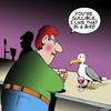 Cartoon: Gullible (small) by toons tagged gullible,seagulls,pick,up,lines,bars,romance,animals,birdlife