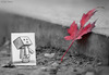 Cartoon: Something in Common (small) by BenHeine tagged art,be,my,friend,ben,heine,cute,danbo,danboard,japanese,manga,kaiyodo,miura,hayasaka,pencil,vs,camera,revoltech,robot,samsung,something,in,common,the,artistery,yotsuba,nature,autumn,fall,selective,color,red,opposition,friendship,curiosity,question,pavemen