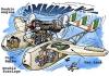 Cartoon: Marchetti (small) by illustrator tagged plane,seaplane,engine,pilot,flying,aircraft,illustrator,welleman,