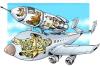 Cartoon: Sky rocket (small) by illustrator tagged plane,rocket,cutaway,flying,sky,astronaut,pilot,cartoon,welleman,