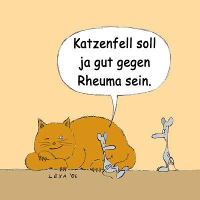 Cartoon: Katzenfell (medium) by lexatoons tagged katze,maus,irrtum,rheuma,tiere