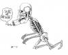 Cartoon: NO SER (small) by Mario Almaraz tagged esqueleto,