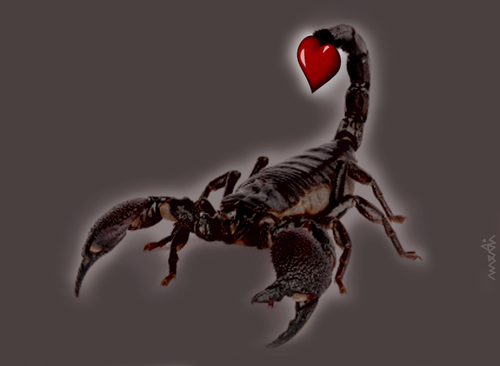 Cartoon: dangerous lover (medium) by Medi Belortaja tagged poison,love,lover,dangerous,heart,scorpion