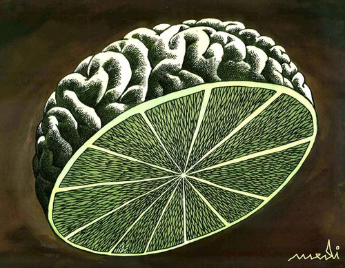 Cartoon: lemon of mind (medium) by Medi Belortaja tagged brain,mind,lemon