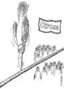 Cartoon: circus (small) by Medi Belortaja tagged circus birds beak balance