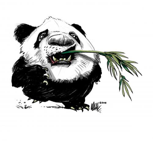 Cartoon: China Panda (medium) by halltoons tagged panda,china,bamboo,bear