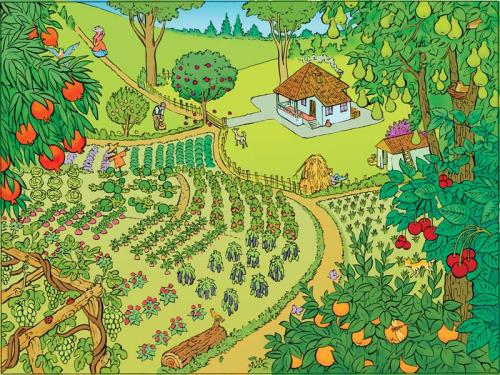 garden By Tarkibi | Media & Culture Cartoon | TOONPOOL