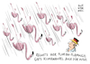 Cartoon: Hurrikan Trump USA (small) by Schwarwel tagged hurrikan,hurricane,us,usa,amerika,trump,donald,klima,klimawandel,umwelt,natur,umweltzerstörung,klimakatastrophe,naturkatastrophe,klimawandelleugner,irma,sturm,flut,unwetter,katastrophe,tropensturm,kalifornien,ausnahmezustand,sturmflut,überschwemmung,überschwemmungen,flamingo,karikatur,schwarwel