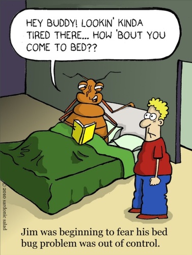 Cartoon: bed bug problem (medium) by sardonic salad tagged bed,bugs ...