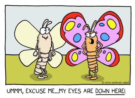 Cartoon: moth pervert (medium) by sardonic salad tagged moth,cartoon,comic,humor,sardonic,salad
