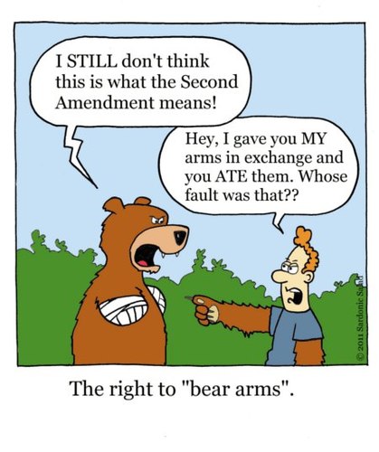 Essay on the ninth amendment