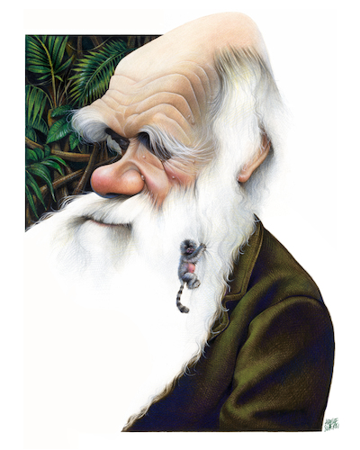 Cartoon Charles Darwin medium by achille tagged charlesdarwin