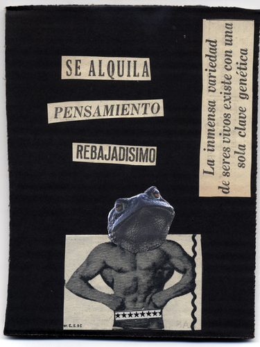 Cartoon: Collage 1 Se Alquila (medium) by german ferrero tagged se,alquila,pensamiento,rebajadisimo,ger,antruejo,collage,anuncio