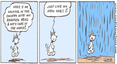 Cartoon: Hamish loves the rain!.. (medium) by noodles cartoons tagged hamish,scotty,dog,rain