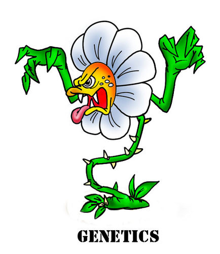 Cartoon: genetics (medium) by fengai tagged plants,genetics,terror ...