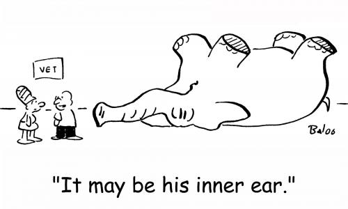 Cartoon: elephant inner ear (medium) by rmay tagged elephant,inner,ear,veterinarian
