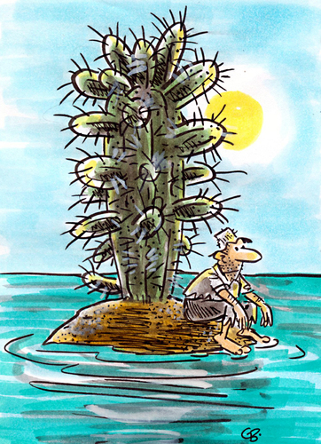 insel insel