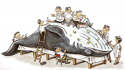 japanese whale research japanese whale research