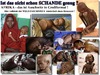 Cartoon: Afrika - modernes Auschwitz (small) by eCollage tagged afrika,dritte,welt,egoismus,faschismus