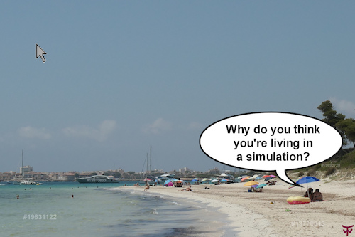 Cartoon: Simulation (medium) by thalasso tagged virtual,reality