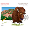 Cartoon: CU Buff Football Endangered (small) by karlwimer tagged sports,cartoon,karl,wimer,colorado,university,buffaloes,buffs,football,american