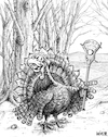 Cartoon: Turkey Lacrosse (small) by karlwimer tagged sports,cartoon,thanksgiving,usa,lacrosse,lax,turkey