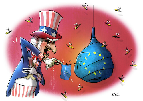 Wespennest Europa Wespennest Europa