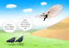 Cartoon: Bionik (small) by droigks tagged otto,lilienthal,natur,technik,mensch,fortschritt,innovation,wirkprinzip,nachahmung,ingenieur,flugwesen,gleitflug,flugpionier,forschung,entwicklung,revolution,fliegen,menschheitstraum