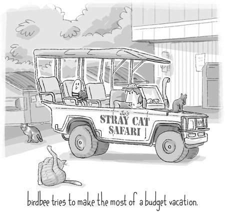 Cartoon: safari (medium) by birdbee tagged vacation,holiday,stray,cats,birdbee,safari,parking,lot,dumpster,city