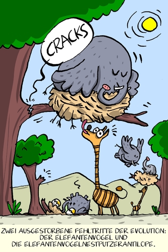 elefantenvogel elefantenvogel
