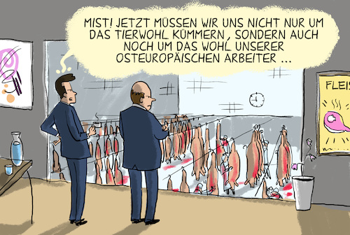 fleischindustrie fleischindustrie