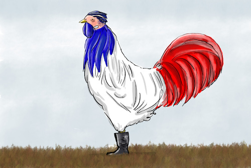 Frankreich Wahl Frankreich Wahl