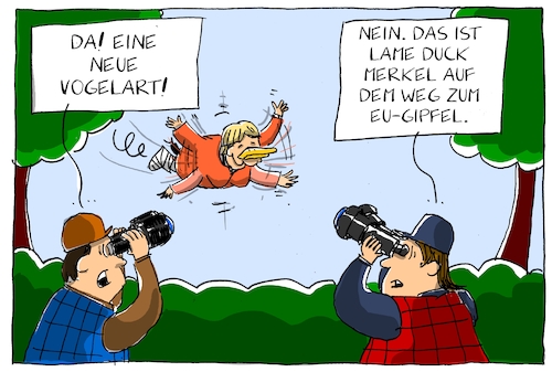 Cartoon: lame duck merkel (medium) by leopold maurer tagged merkel,eu,gipfel,lame,duck,malta,treffen,ornitologe,flug,lahme,ente,merkel,eu,gipfel,lame,duck,malta,treffen,ornitologe,flug,lahme,ente