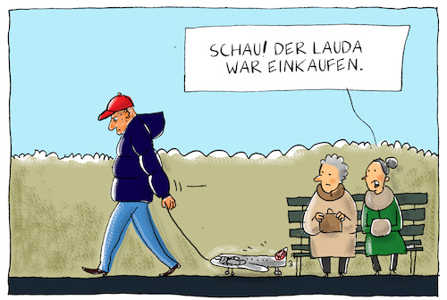 lauda kauft niki