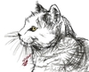 Cartoon: cat (small) by Mineds tagged cat