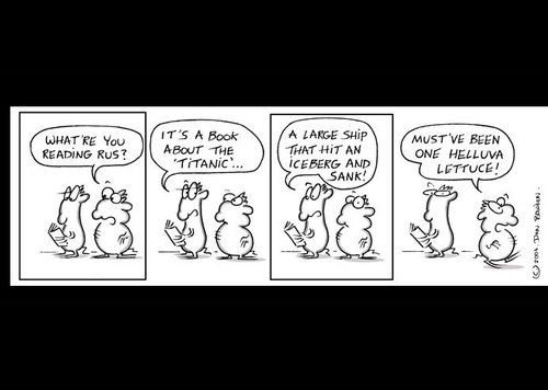 Cartoon: Urban Gerbils (medium) by Danno tagged cartoons,comic,strips,traditional,media,humor