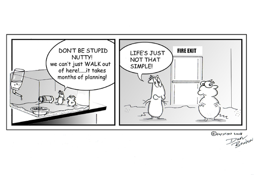 Cartoon: URBAN GERBILS (medium) by Danno tagged cartoon,strip,humor,funny,gerbil,urban