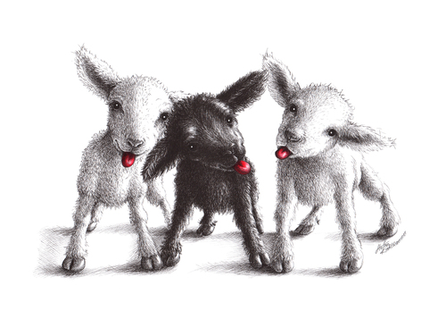 Freche Schafe - Cheeky Sheep Freche Schafe - Cheeky Sheep