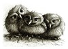 Cartoon: 3 junge Eulen - 3 young owls (small) by Stefan Kahlhammer tagged jung eulen flankalan flankale kahlhammer illustration vögel birds