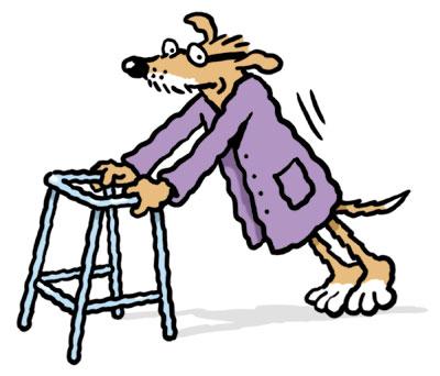 Old dog with zimmer frame By Ellis Nadler | Nature Cartoon | TOONPOOL