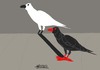 Cartoon: Crow (small) by omar seddek mostafa tagged smiling,cat