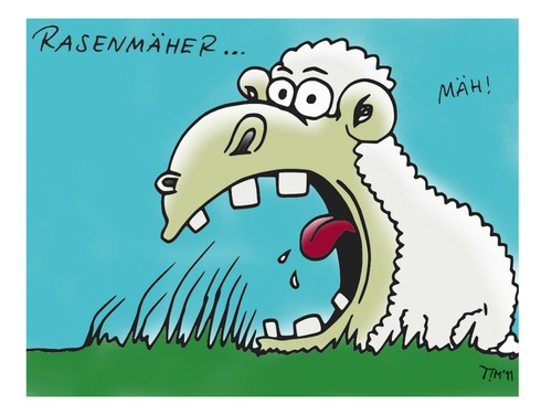 Cartoon: Rasenmäher (medium) by timfuzius tagged rasen,rasenmäher,schaf,gras,wiese,landwirtschaft,tier,wolle,vierbeiner,nutztier,hunger,natur