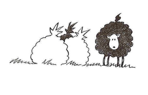 Cartoon: Baa Baa Black Sheep (medium) by Kerina Strevens tagged baa,fun,humour,wool,sheep
