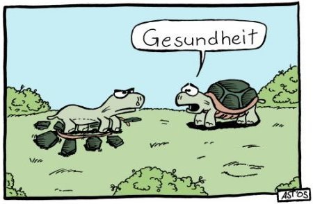 Cartoon: Schildkroetz (medium) by Astu tagged turtles,schildkroeten,fun