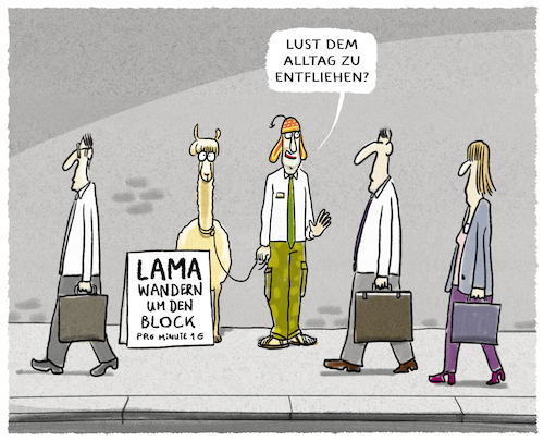 Cartoon: ... (medium) by markus-grolik tagged alltag,lamawandern,lama,wandern,ruhe,entschleunigung,erfahrung,stadt,grossstadt,grosstadt,land,startup,stress,burnout,alltag,lamawandern,lama,wandern,ruhe,entschleunigung,erfahrung,stadt,grossstadt,grosstadt,land,startup,stress,burnout