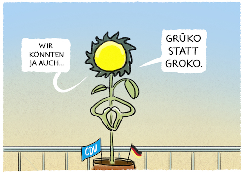 Grünkohlraute Grünkohlraute